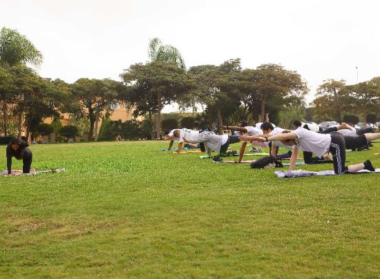 Toyota Yoga Session Team Building
