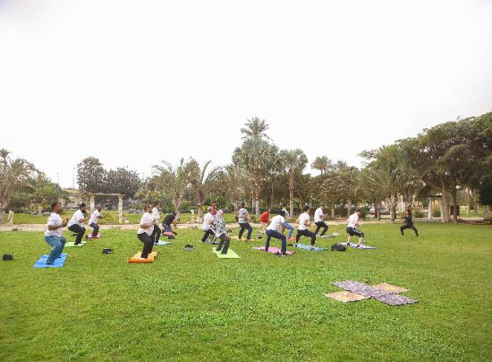Toyota Yoga Session Team Building